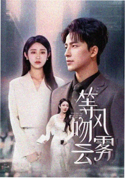 回声档案 刑侦纪实剧封面